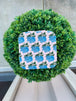 Hydrangea